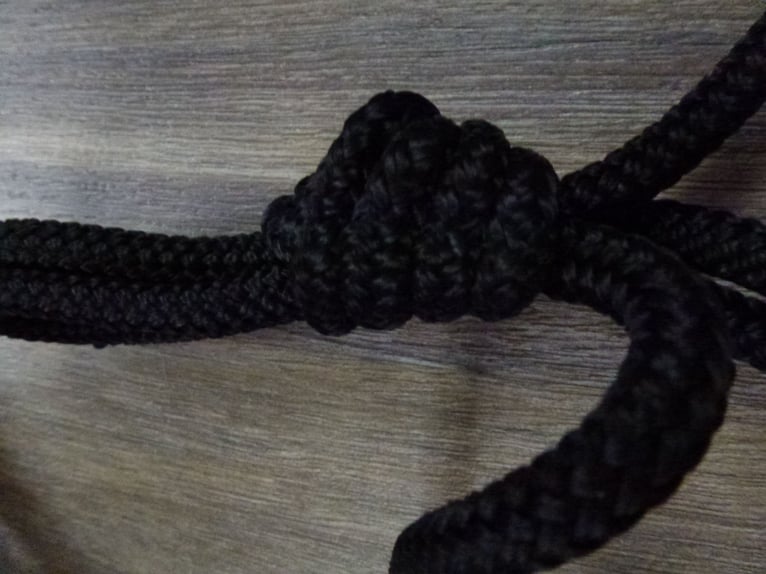 Neuwertiges Knotenhalfter schwarz, VB / Cob