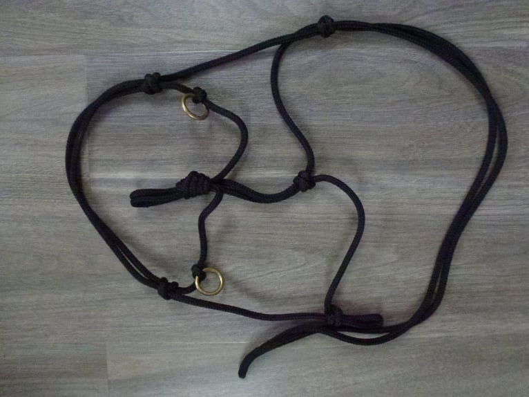 Neuwertiges Knotenhalfter schwarz, VB / Cob