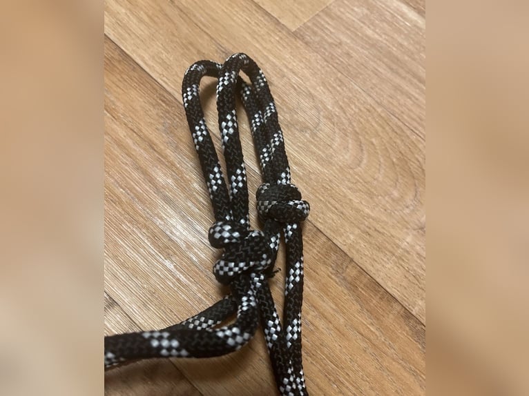 schwarz weißes knotenhalfter warmblut