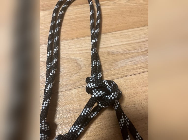 schwarz weißes knotenhalfter warmblut