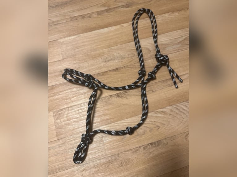 schwarz weißes knotenhalfter warmblut