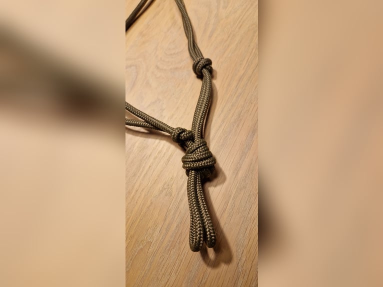 Set Bodenarbeitsseil Knotenhalfter 3,70m WB Olive NEU Equidreams