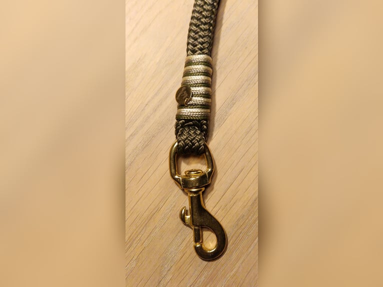 Set Bodenarbeitsseil Knotenhalfter 3,70m WB Olive NEU Equidreams