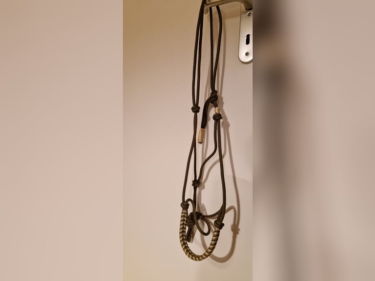Set Bodenarbeitsseil Knotenhalfter 3,70m WB Olive NEU Equidreams