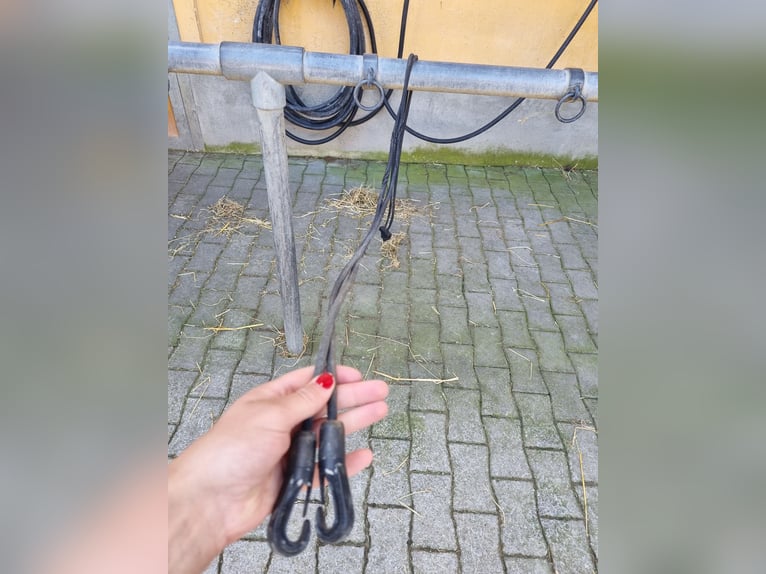 Gogue zu verkaufen