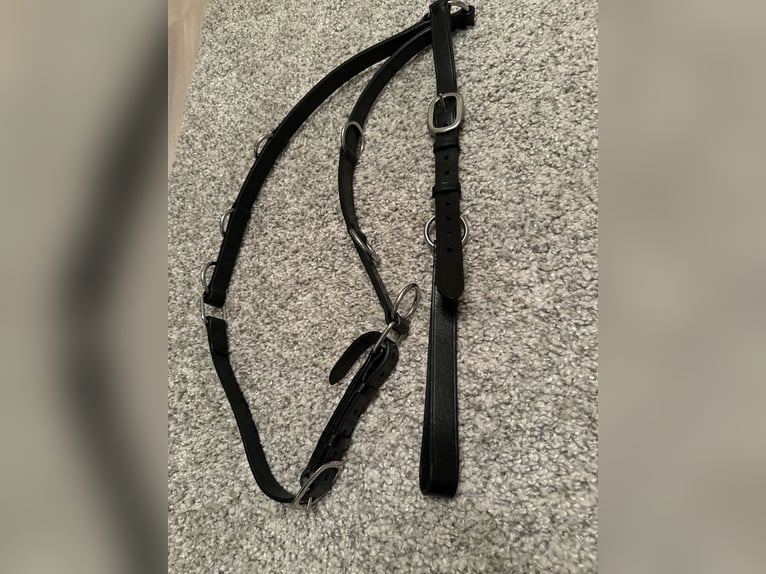 Neu! Martingal Hilfszügel Reit- Longierhilfe Ringmartingal WB Full schwarz Leder