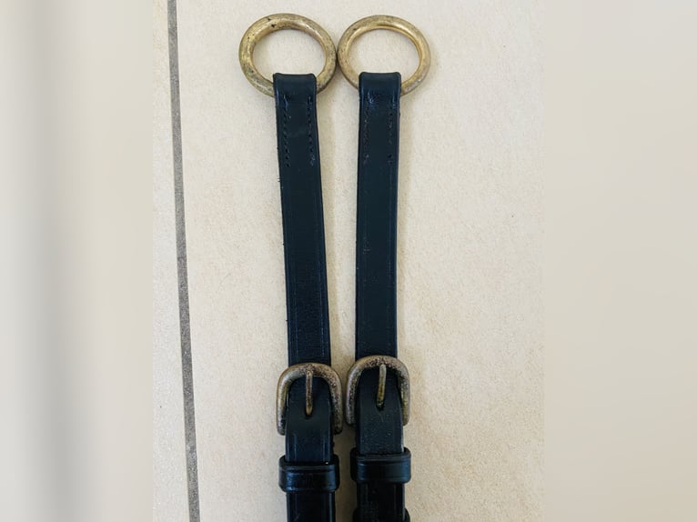 Prestige Vorderzeug Martingal WB