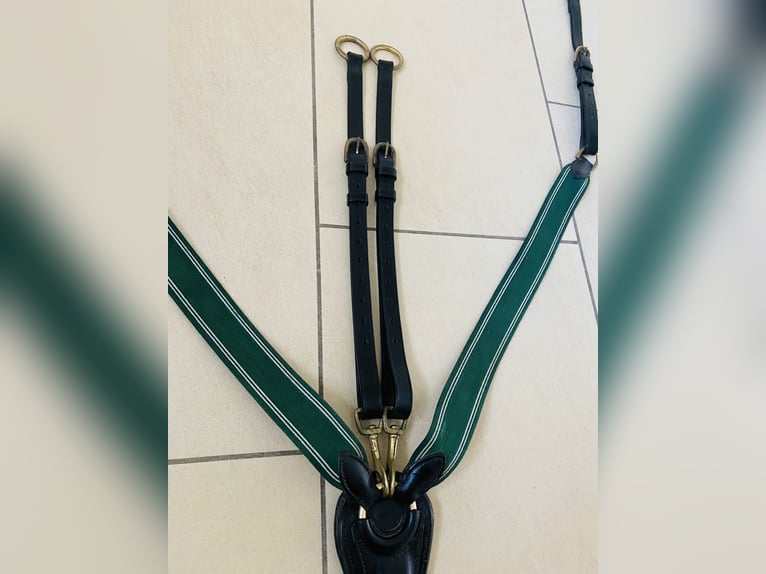 Prestige Vorderzeug Martingal WB