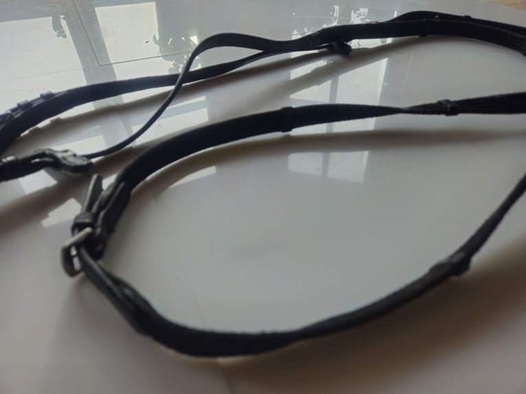 robuste Gurt-Zügel, 3 m