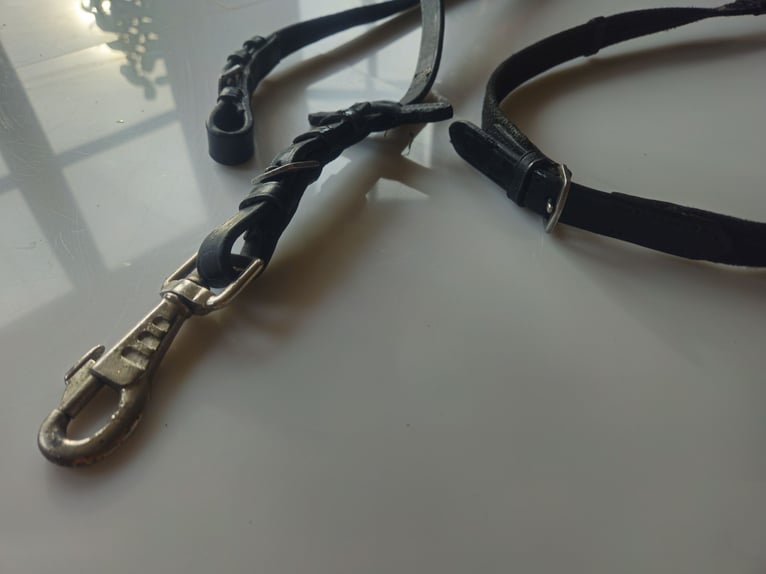 robuste Gurt-Zügel, 3 m