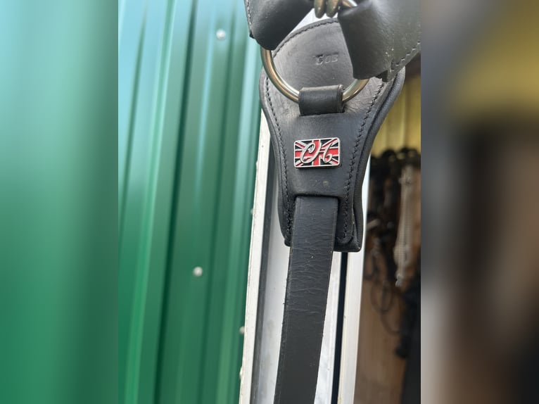 CLARIDGE HOUSE - Leder-Vorderzeug Elastic