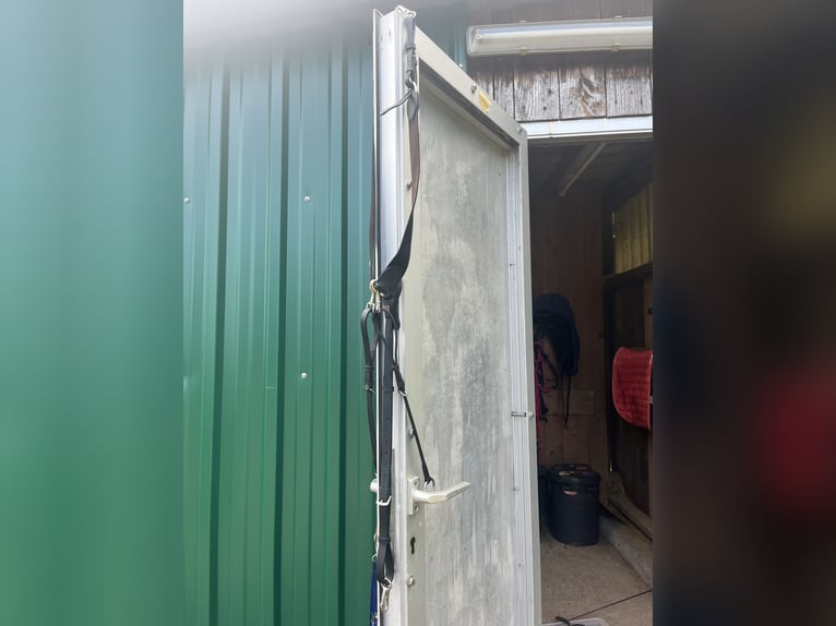 CLARIDGE HOUSE - Leder-Vorderzeug Elastic