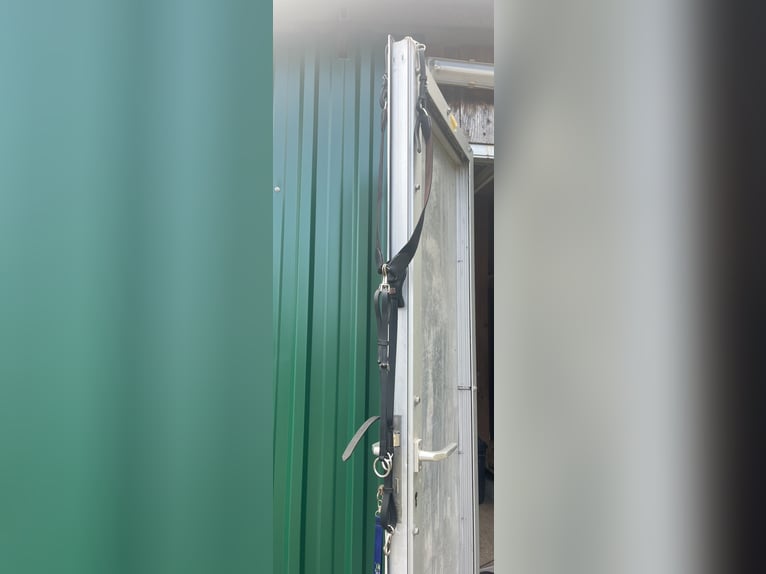 CLARIDGE HOUSE - Leder-Vorderzeug Elastic