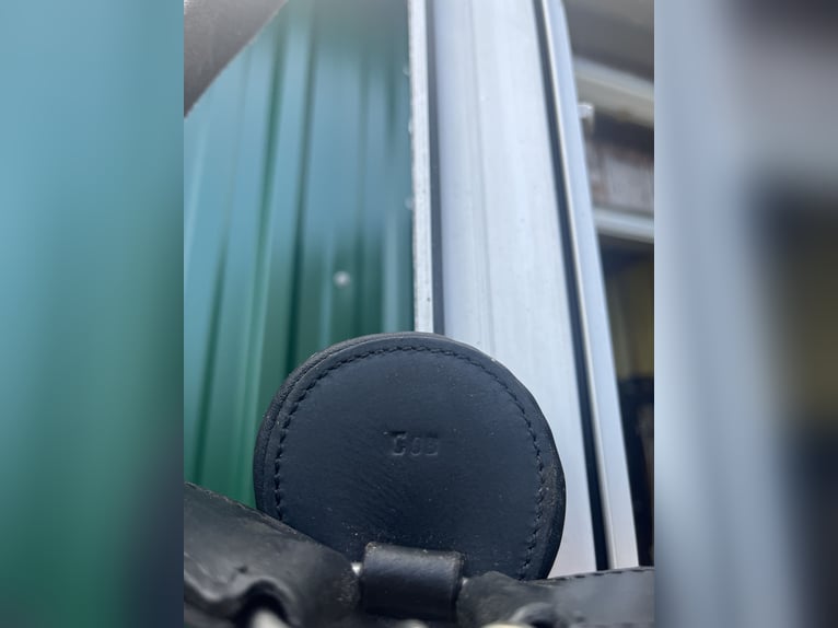 CLARIDGE HOUSE - Leder-Vorderzeug Elastic