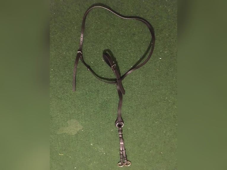 Claridge House Vorderzeug