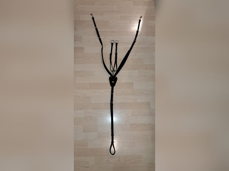 Kieffer Vorderzeug Jessica – wie neu, nur 1x anprobiert