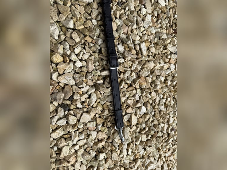 NEUES Schockemöhle Sports Vorderzeug FULL