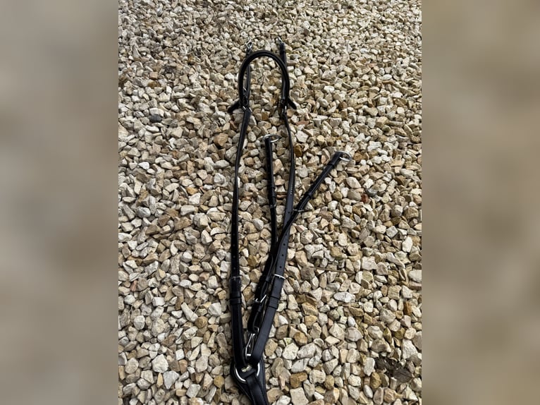 NEUES Schockemöhle Sports Vorderzeug FULL