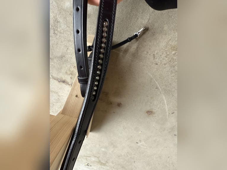 NEUES Schockemöhle Sports Vorderzeug FULL