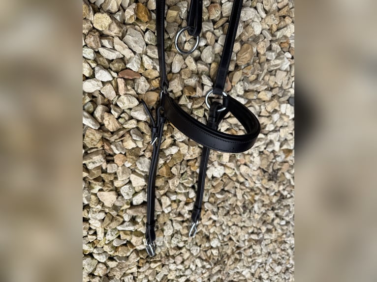 NEUES Schockemöhle Sports Vorderzeug FULL