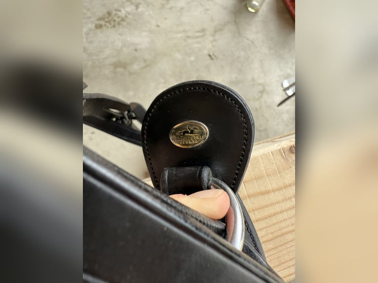 NEUES Schockemöhle Sports Vorderzeug FULL