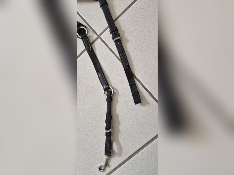 Passier Vorderzeug Auriga