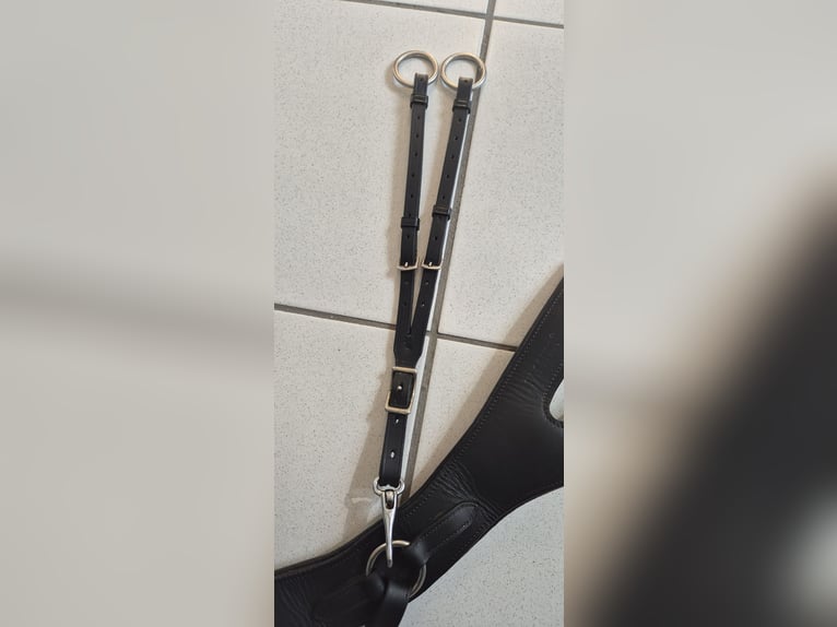 Passier Vorderzeug Auriga