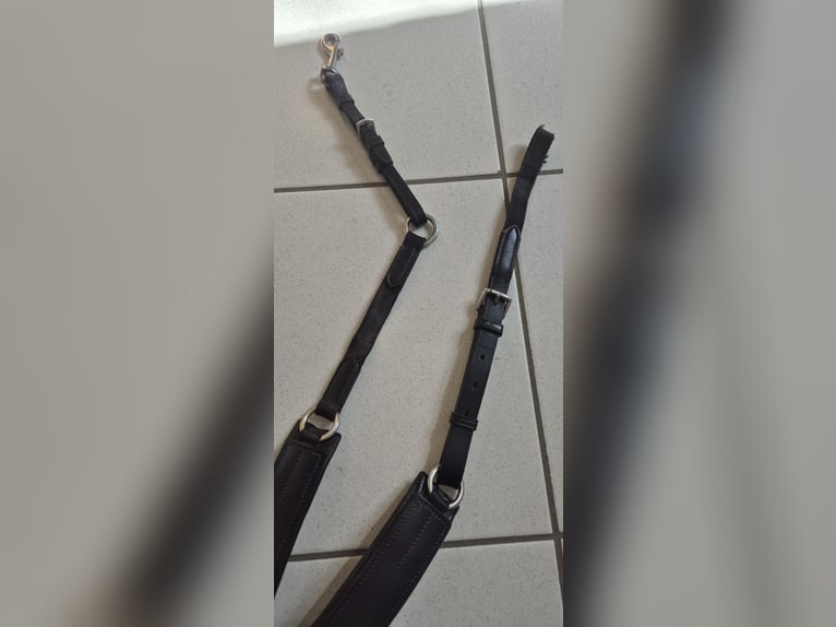 Passier Vorderzeug Auriga