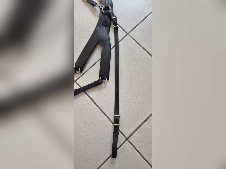 Passier Vorderzeug Auriga