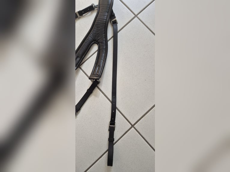 Passier Vorderzeug Auriga