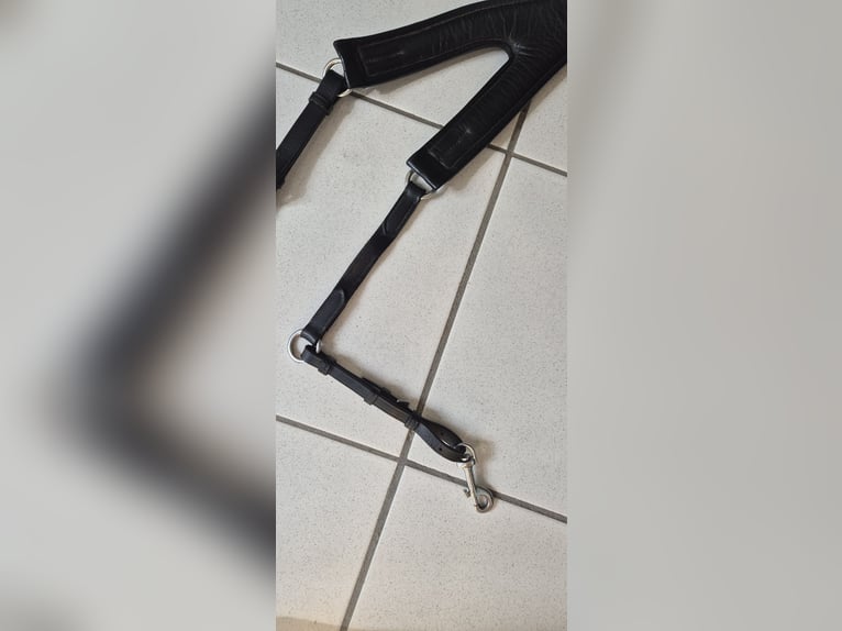 Passier Vorderzeug Auriga