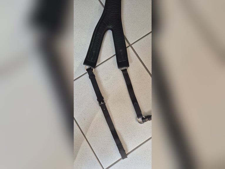 Passier Vorderzeug Auriga