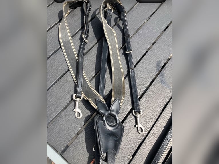 Prestige Special Jump Vorderzeug inkl Martingal