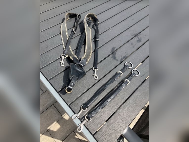 Prestige Special Jump Vorderzeug inkl Martingal