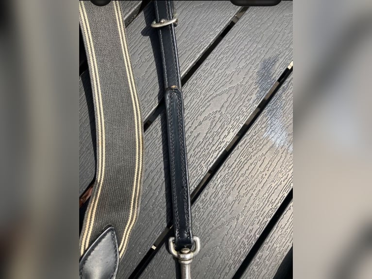 Prestige Special Jump Vorderzeug inkl Martingal