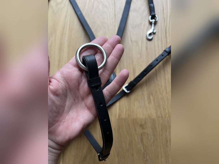 Vorderzeug schwarz in Cob