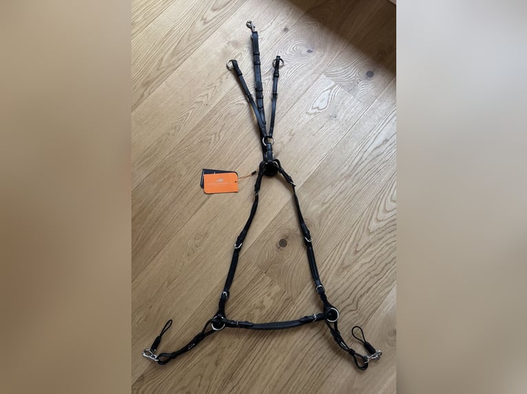 Vorderzeug Sevilla Select Schockemöhle