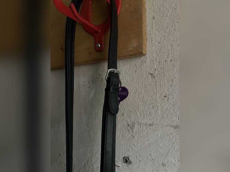 Vorderzeug „Winchmore“