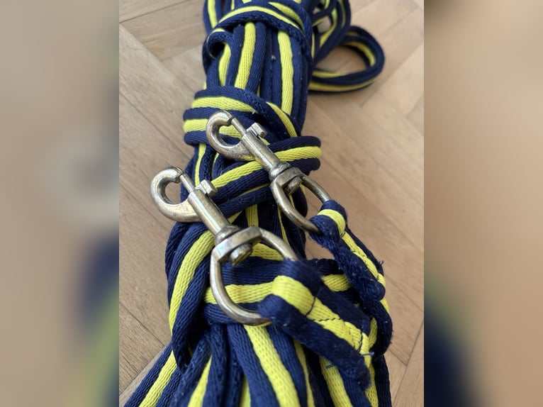 Doppellonge blau gelb 