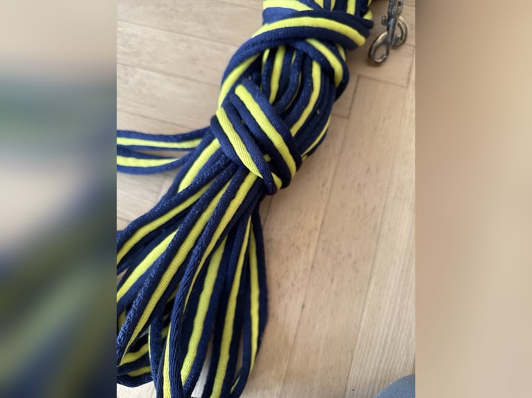 Doppellonge blau gelb 