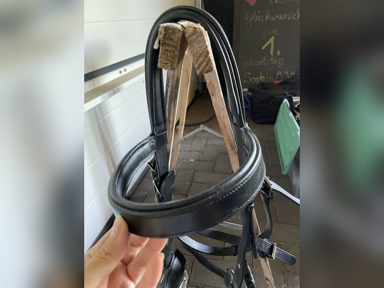 Busse Kappzaum mit Gebiss (wenn gewünscht)