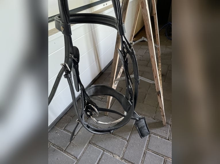 Busse Kappzaum mit Gebiss (wenn gewünscht)