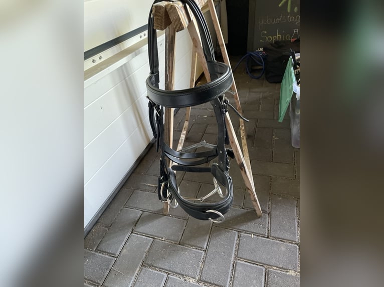 Busse Kappzaum mit Gebiss (wenn gewünscht)