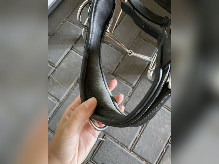 Busse Kappzaum mit Gebiss (wenn gewünscht)