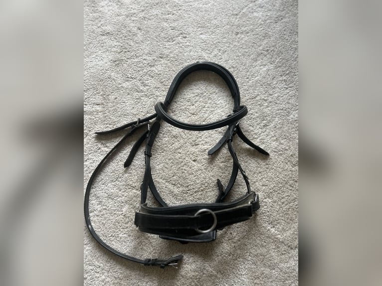 Claridge House Kappzaum Leder schwarz Full/WB