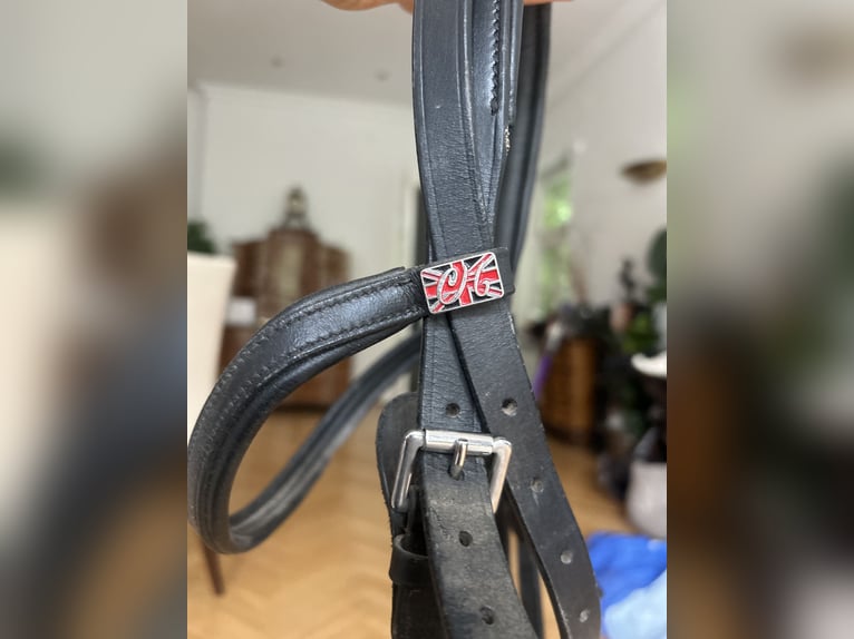 Claridge House Kappzaum Leder schwarz Full/WB