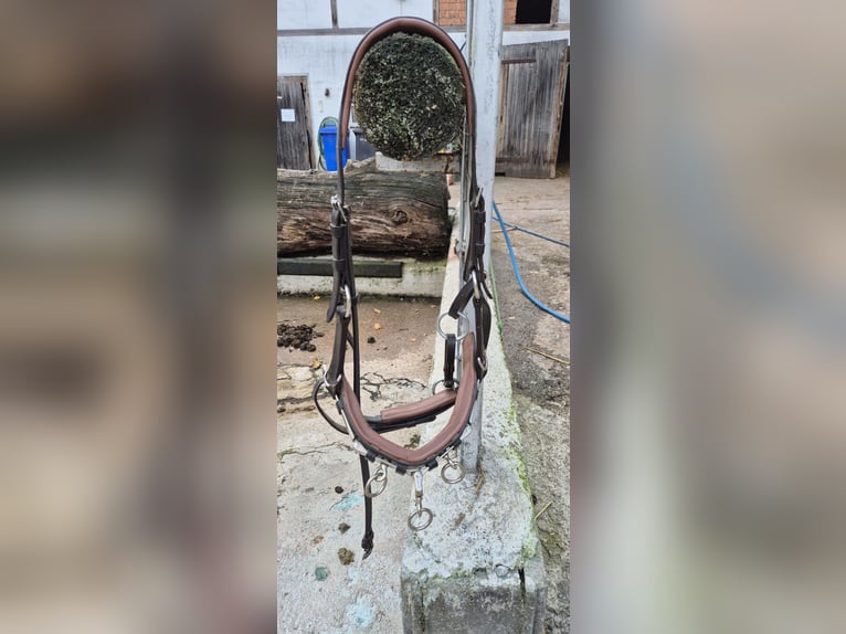 Heinick Profi Leder Kappzaum 