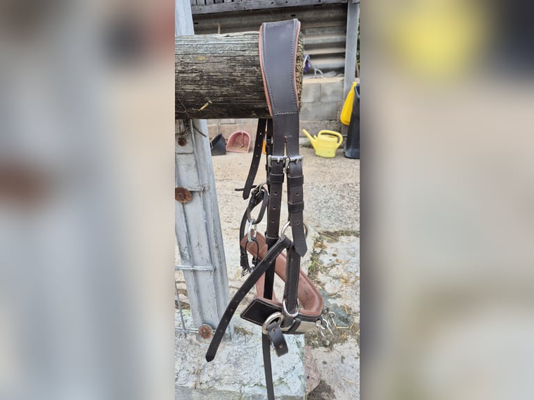 Heinick Profi Leder Kappzaum 