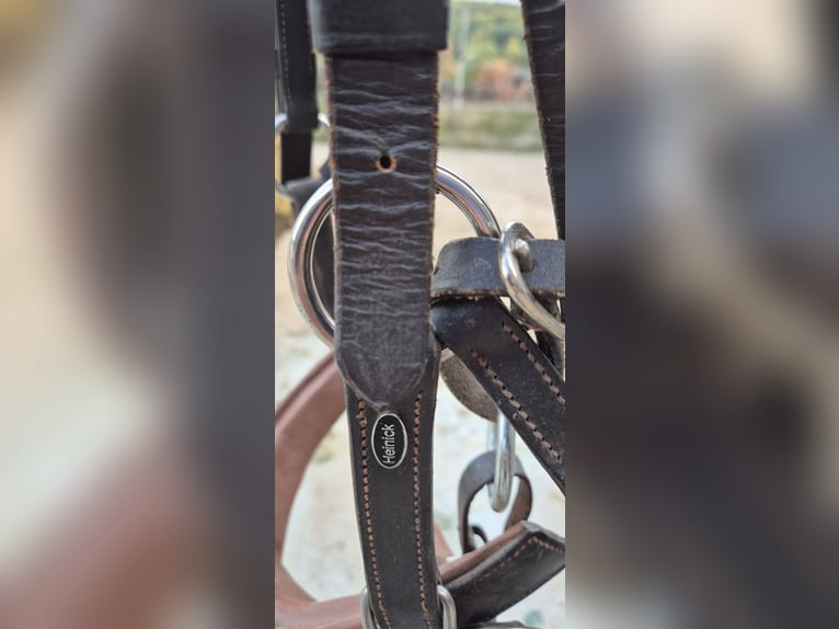 Heinick Profi Leder Kappzaum 