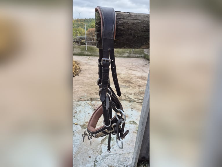 Heinick Profi Leder Kappzaum 